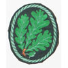 Army Jager Troops Sleeve Insignia