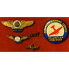WW II "Aircraft Warning Service" Group