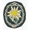 Army Mountain Troops Sleeve Edelweiss