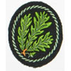 Army Jager Troops Sleeve Insignia