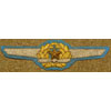 WW II Japanese Army Pilot Wings