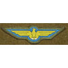 WW II Japanese Army Aviation Wings