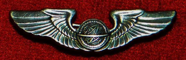 WW II "Navigator" 1-3/8 inch Pin Back Wing