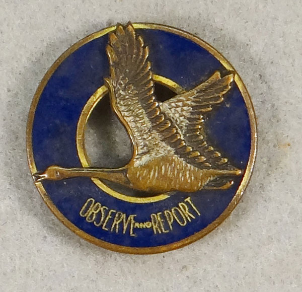 WW II Enamel AAF 12th Observation Group "D.I."