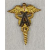 WW II Army Medical Administrative Officer Collar Insignia