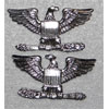 Current Issue U.S. Colonel Rank Insignia