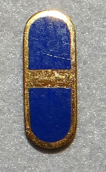 WW II Army Air Force Flight Officer Rank Insignia