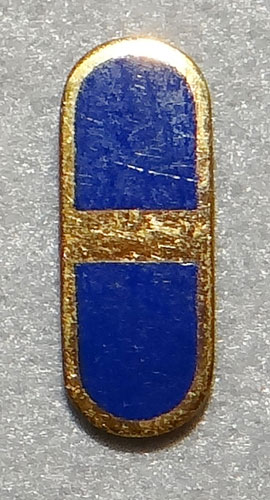 WW II Army Air Force Flight Officer Rank Insignia